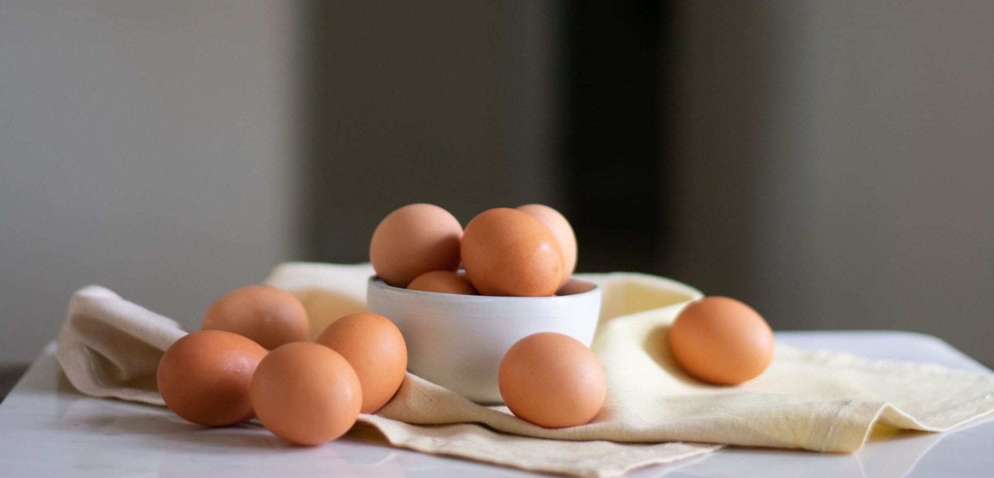 Les différents types de protéines en poudre