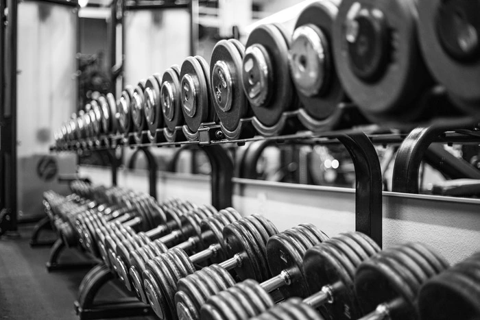 halteres musculation