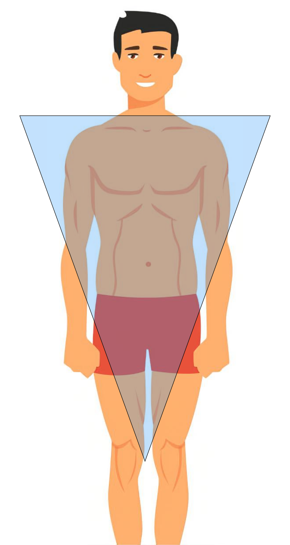 Typ Mesomorph