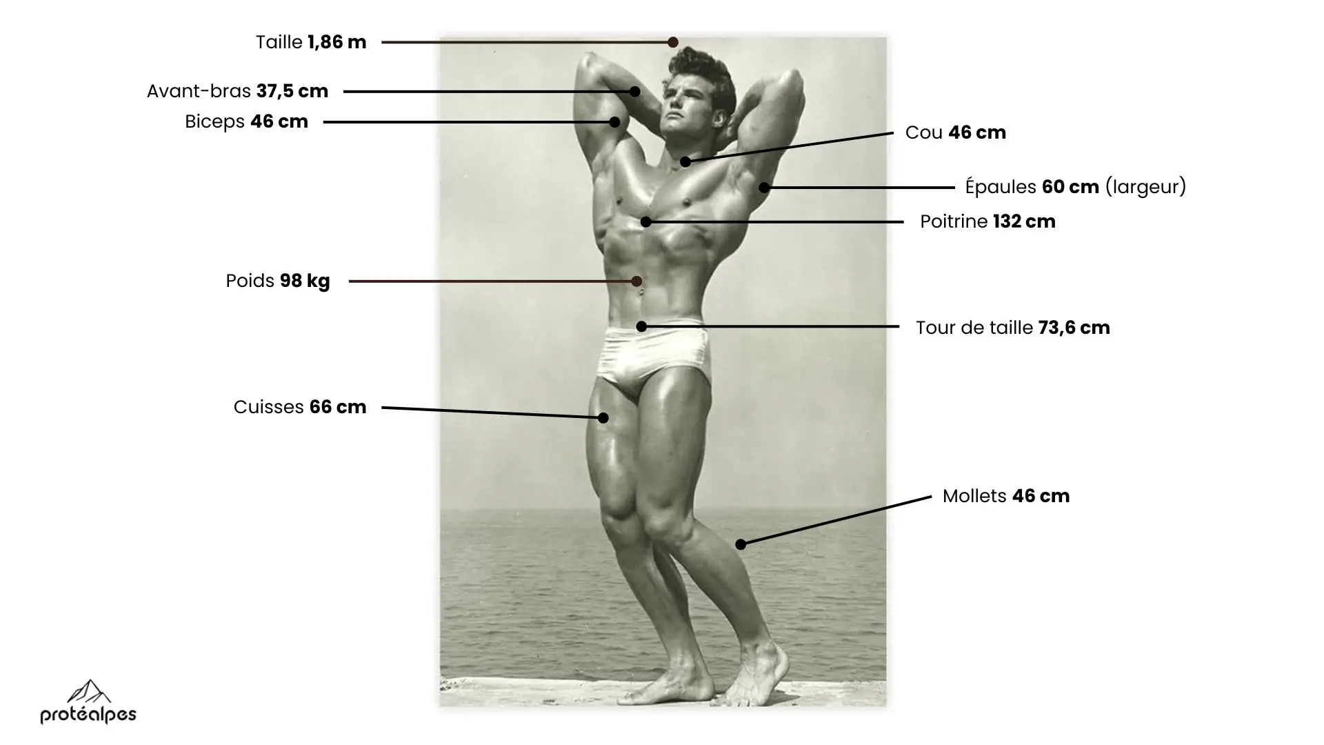 Muscular athlete showing measurements, symbolizing Protéalpes' top-of-the-range sports nutrition, with no sweeteners or additives.