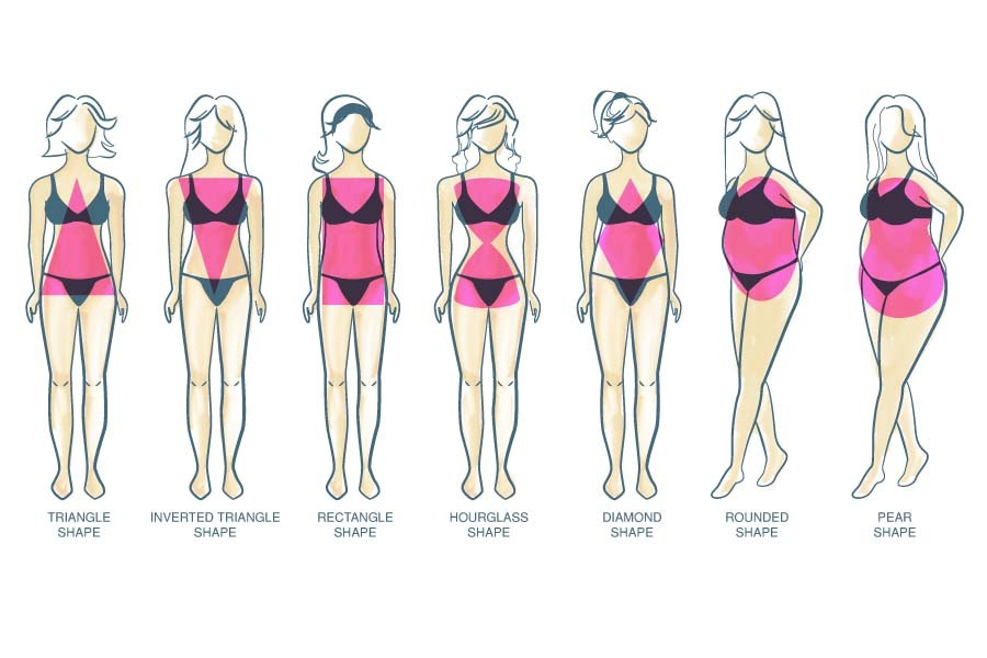 Illustration of different female silhouettes to understand morphology and adapt Protéalpes sports nutrition.