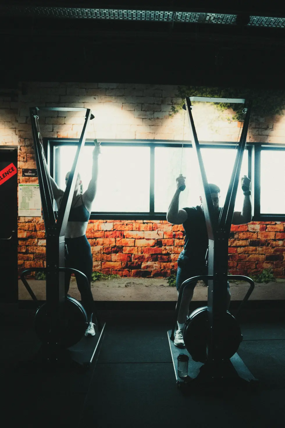 Two people on rowing machines in a gym, lit by a window, evoking effort and concentration.