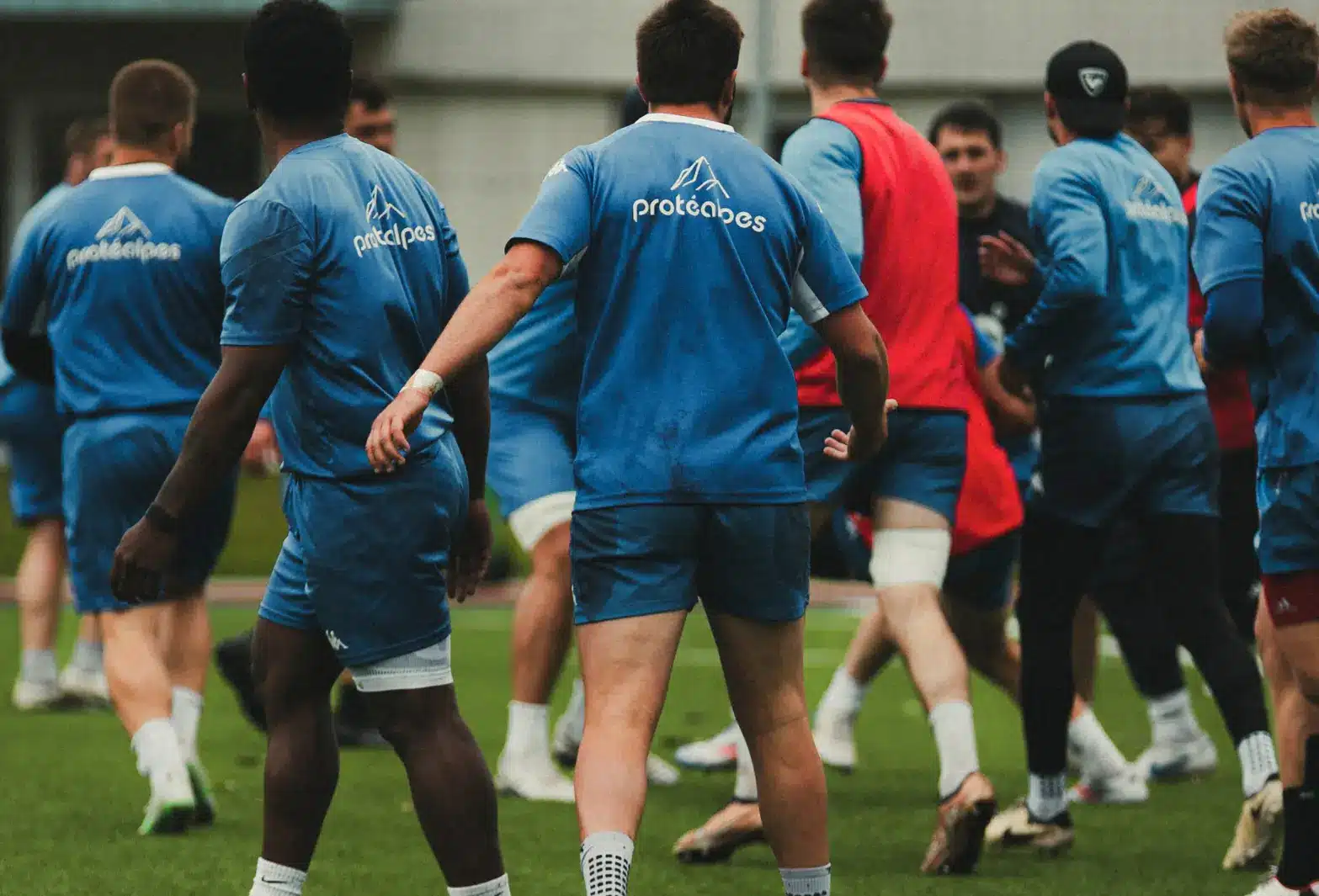 Protéalpes rugby players in blue jerseys are warming up on the field. Sports nutrition with no sweeteners or additives.