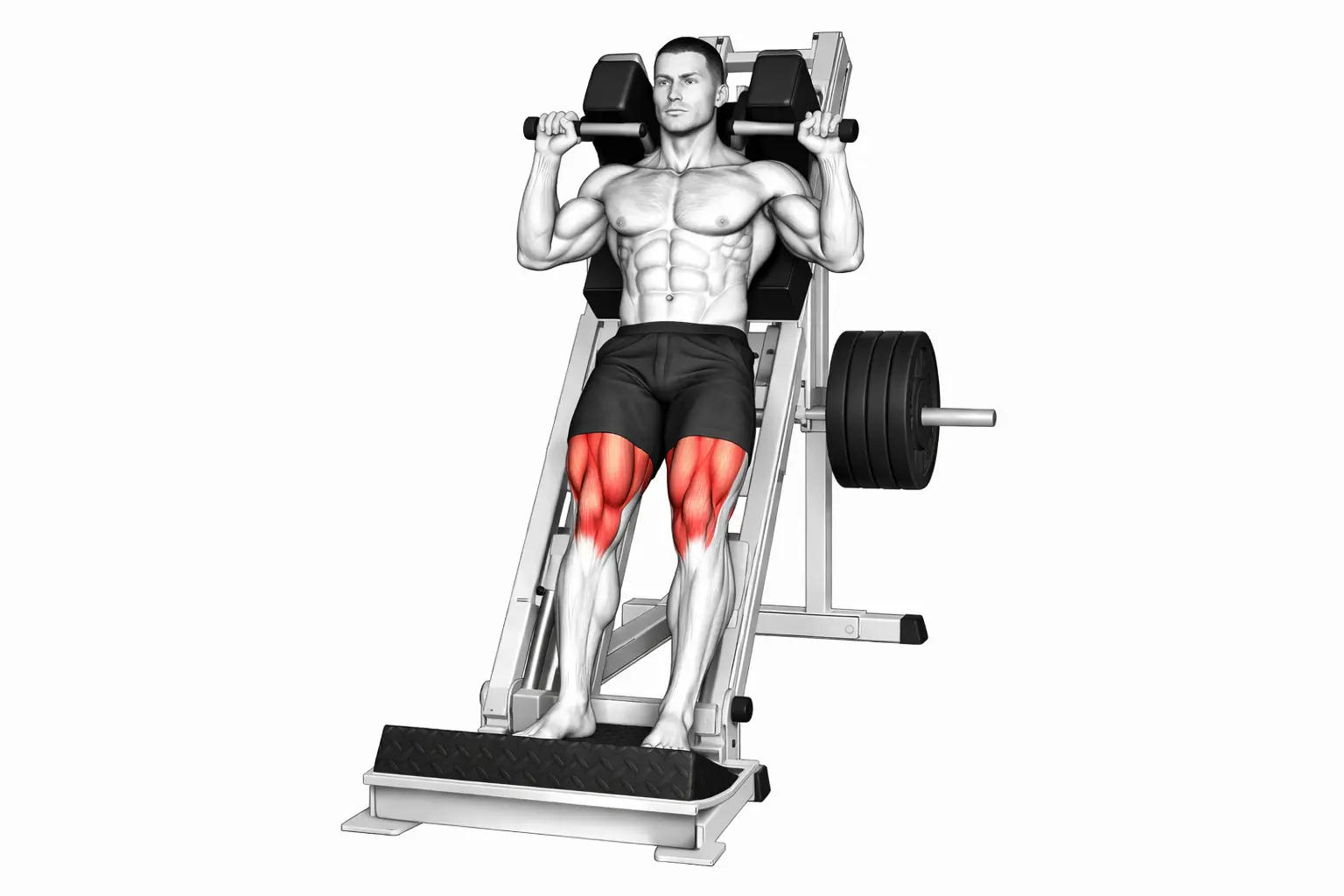 Hack squat - Squat guidé machine inclinée. Accent quadriceps.