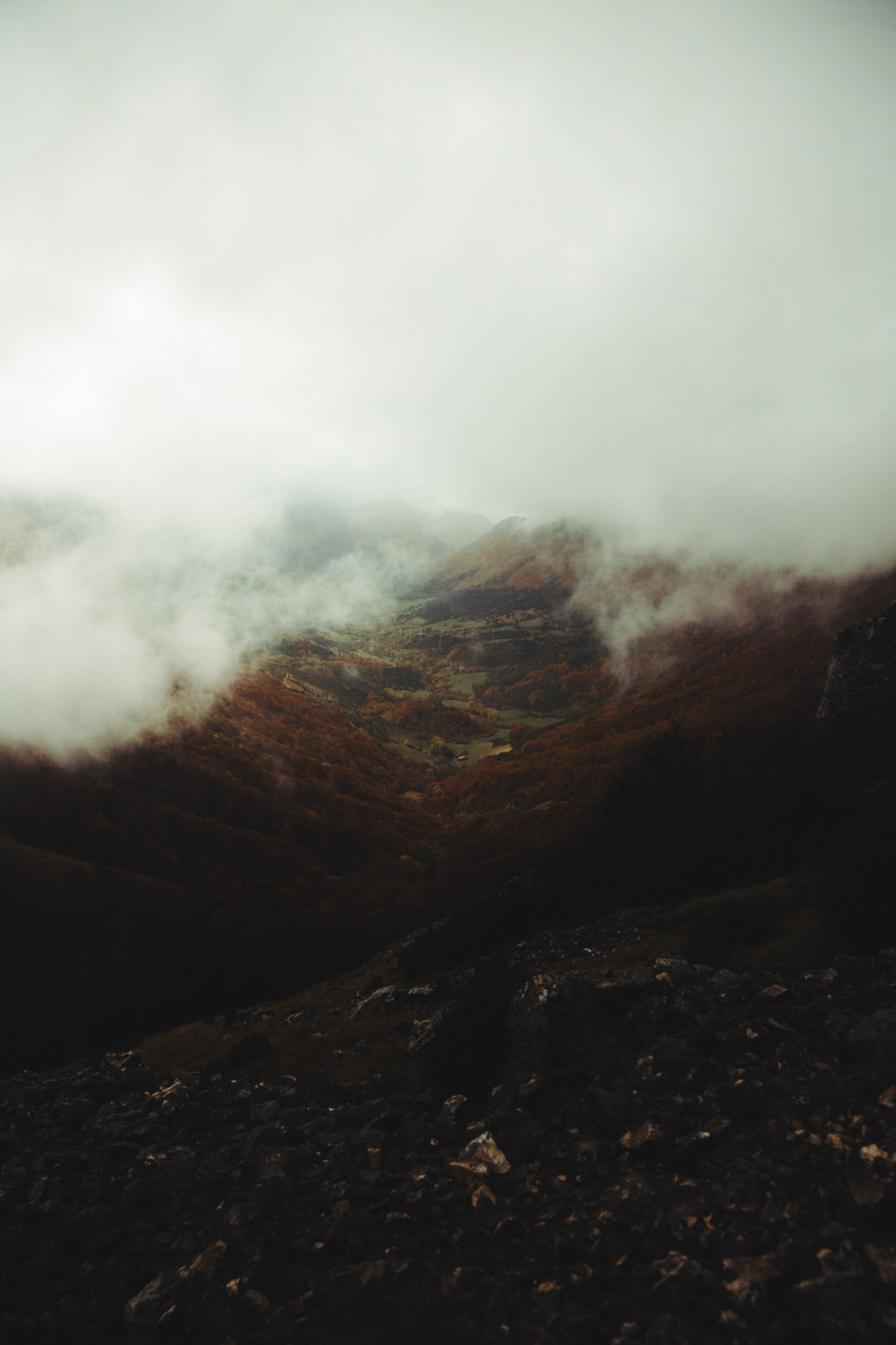 Vue panoramique d'une vallée montagneuse enveloppée de brouillard. Nature pure, reflet des valeurs de Protéalpes en nutrition.