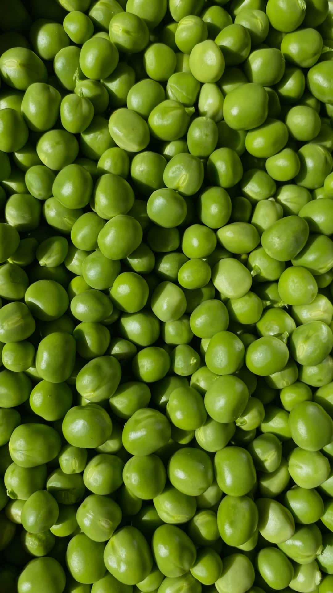 Petits pois frais, riches en nutriments, parfaits pour une nutrition sportive saine. Découvrez des produits sans additifs sur Protéalpes.